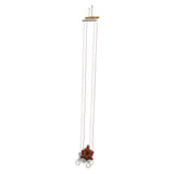 Climbing Tortoise in two strings for fun and exercise