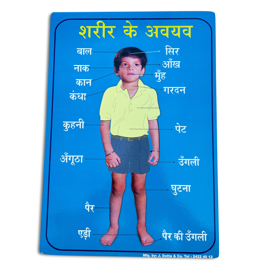 Hindi body parts tray puzzle शरीर के अवयव with labelled photo of a boy