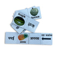 Marathi fruits domino tiles with pictures and words: pineapple, custard apple, watermelon