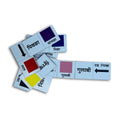 Marathi colours domino tiles with colour swatches and Marathi colour words