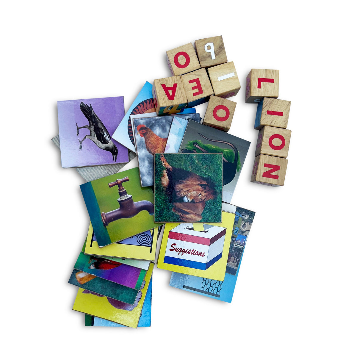 20 picture cards with wooden letter cubes spelling LION