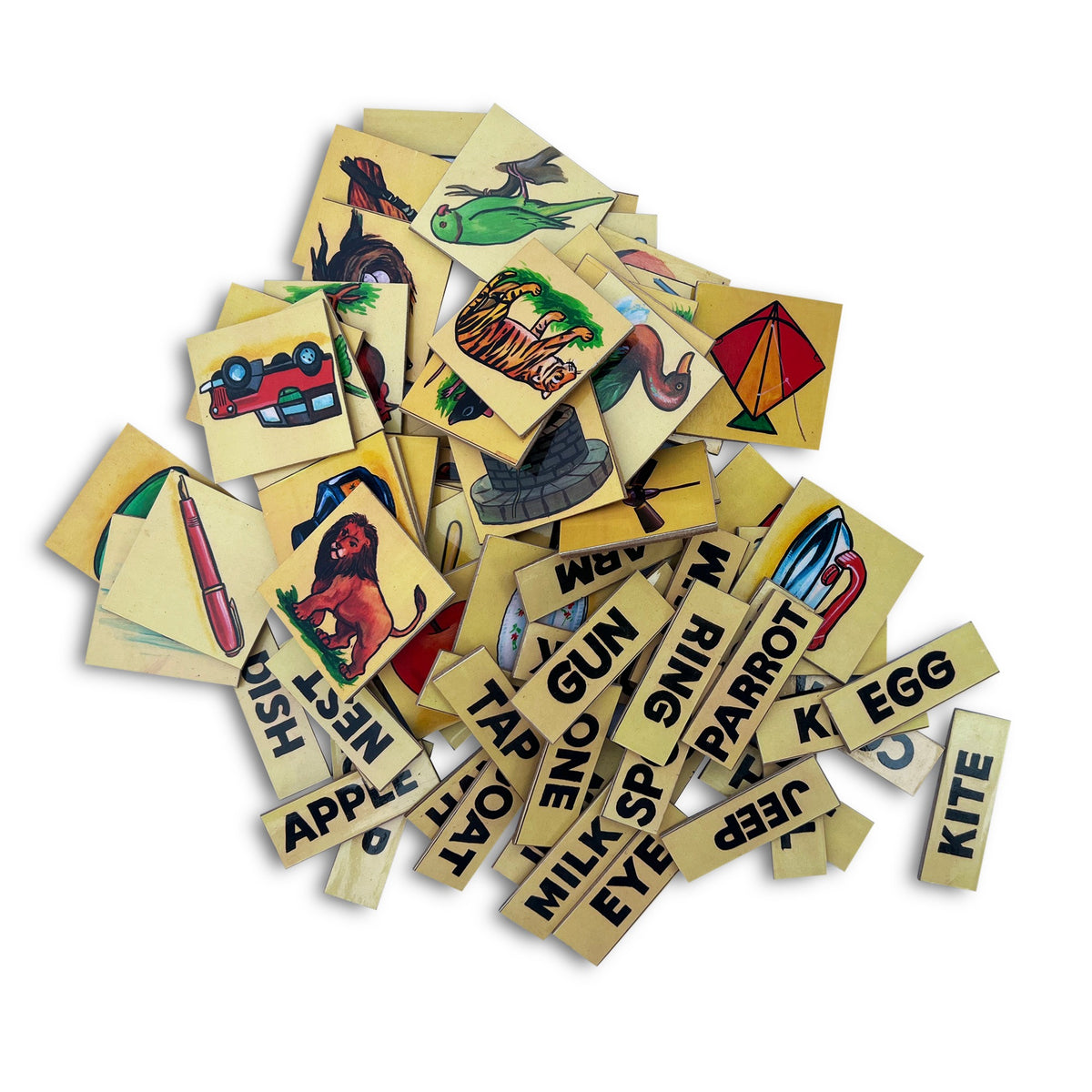 40 English picture cards and word tiles: apple, kite, egg, parrot