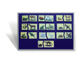 Pair up Our Food cards displayed on a blue board