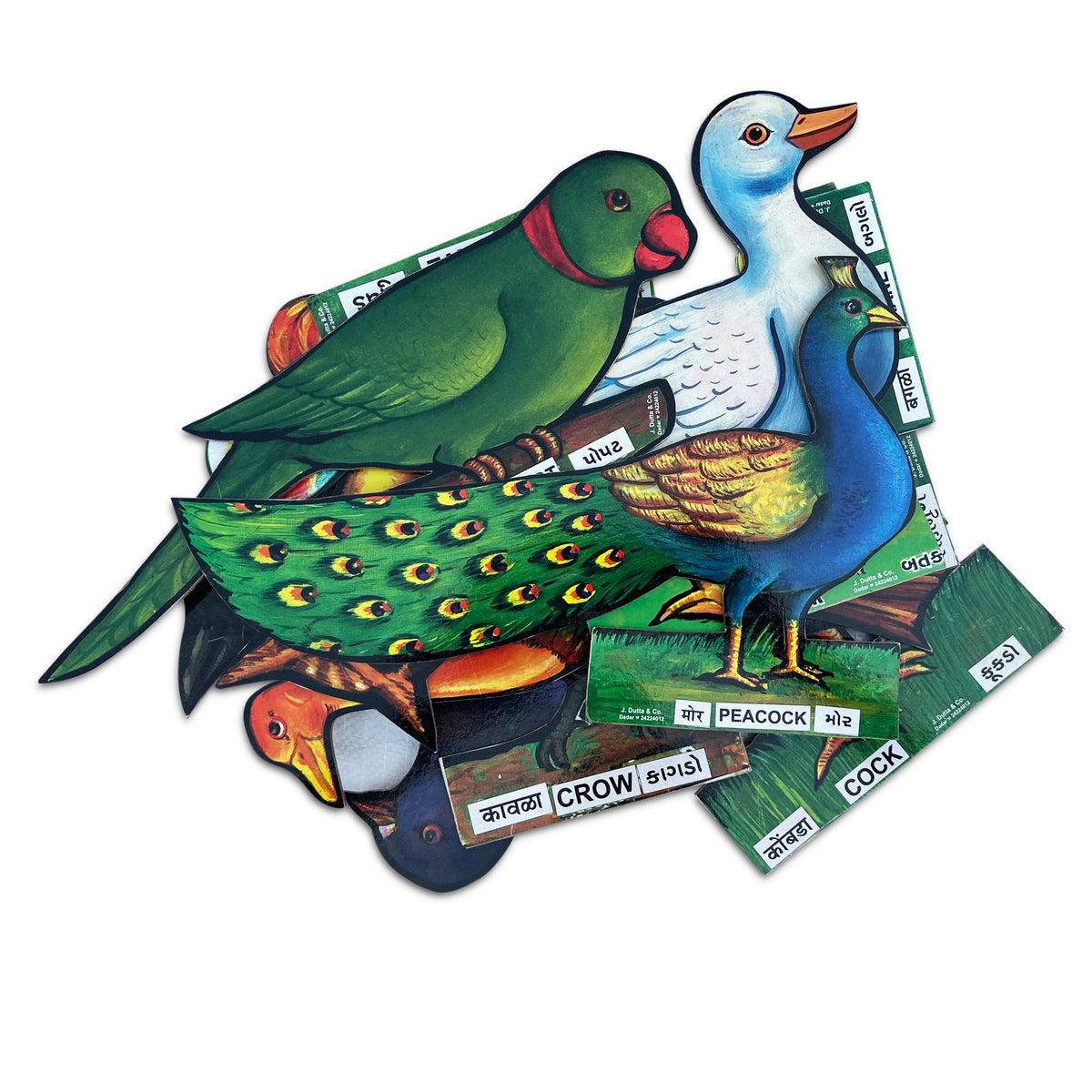 Big bird cut-outs: parrot, duck, peacock and crow with name labels