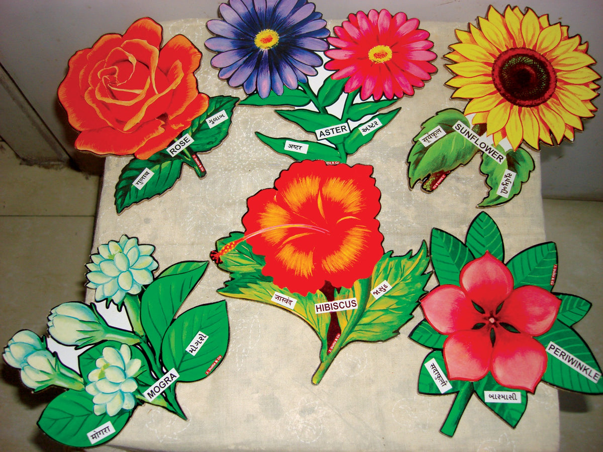 Small flower cut-outs with name labels: rose, sunflower, hibiscus