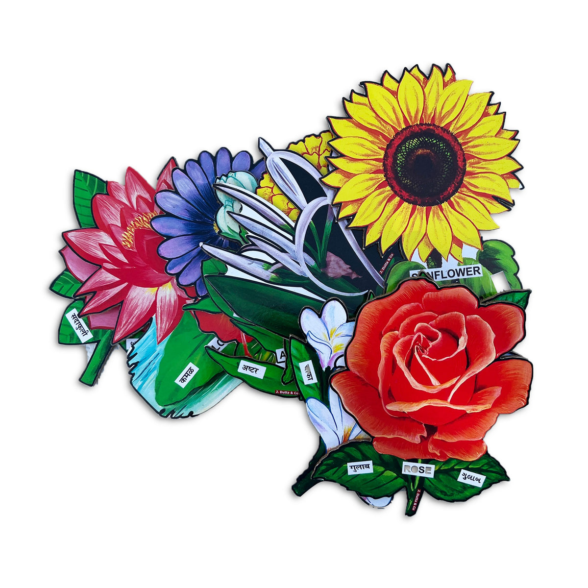 Large flower cut-outs: sunflower, rose, lotus with name labels