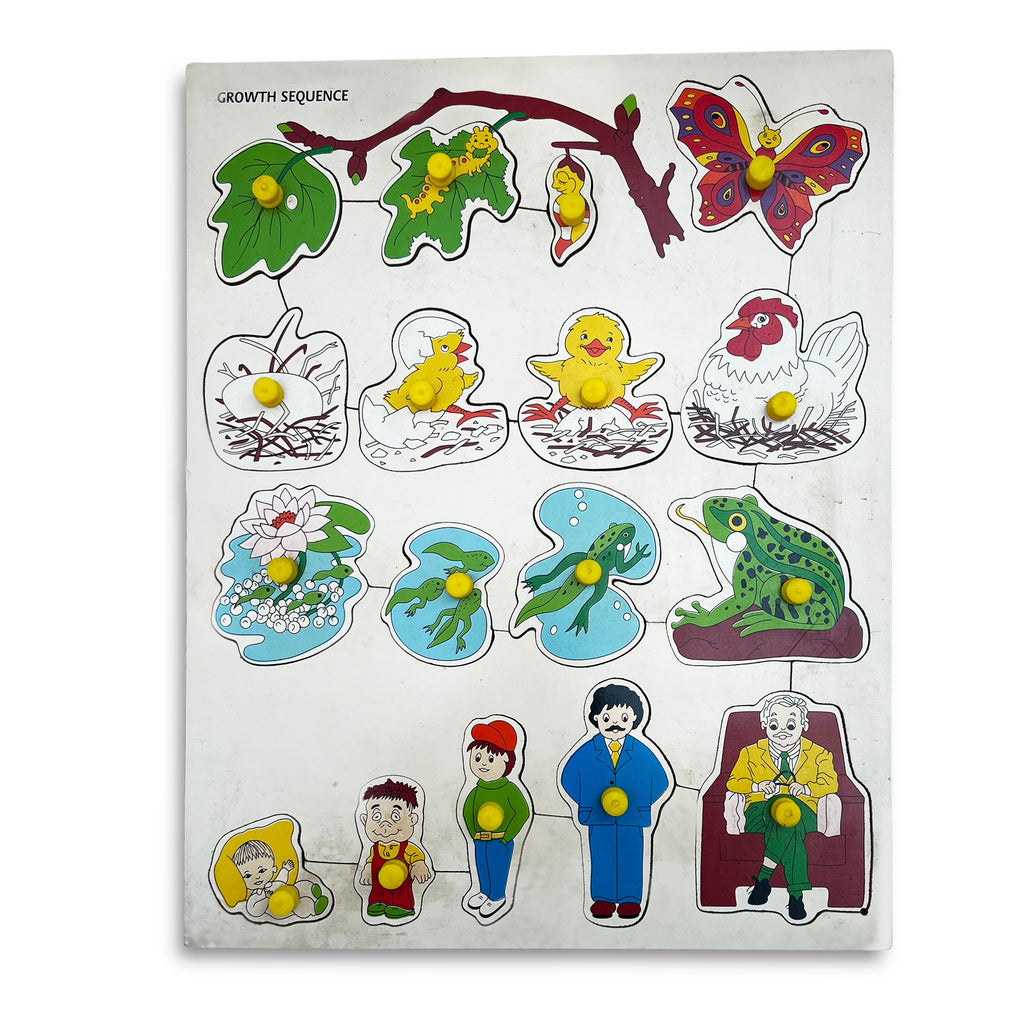 Growth sequence knob puzzle: butterfly, hen, frog and human life stages in rows
