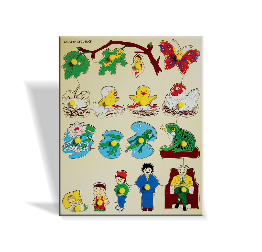 Growth sequence puzzle board at an angle: butterfly, hen, frog and human life stages