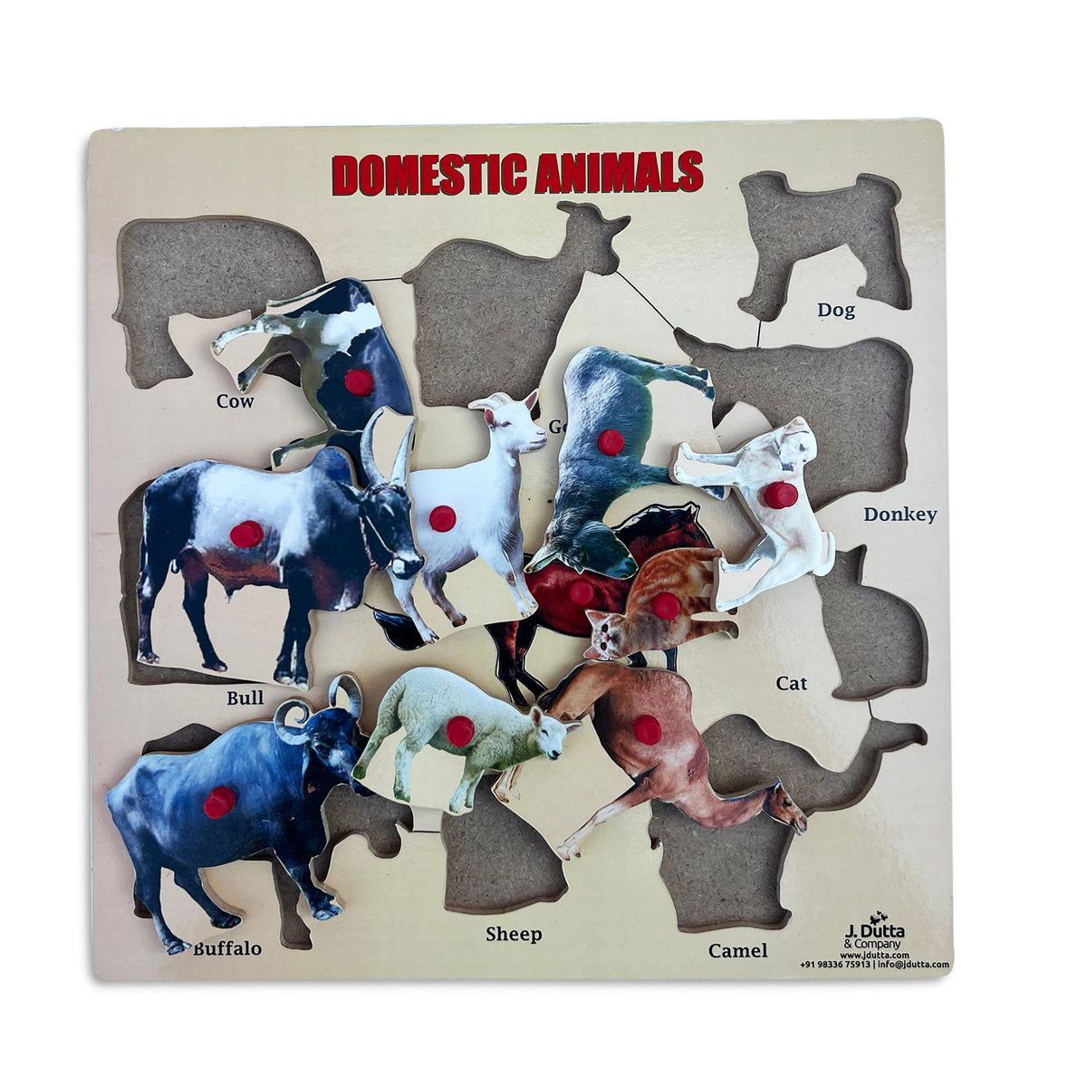 Domestic animals knobbed puzzle with cow, dog, bull, buffalo, sheep, cat, donkey and camel