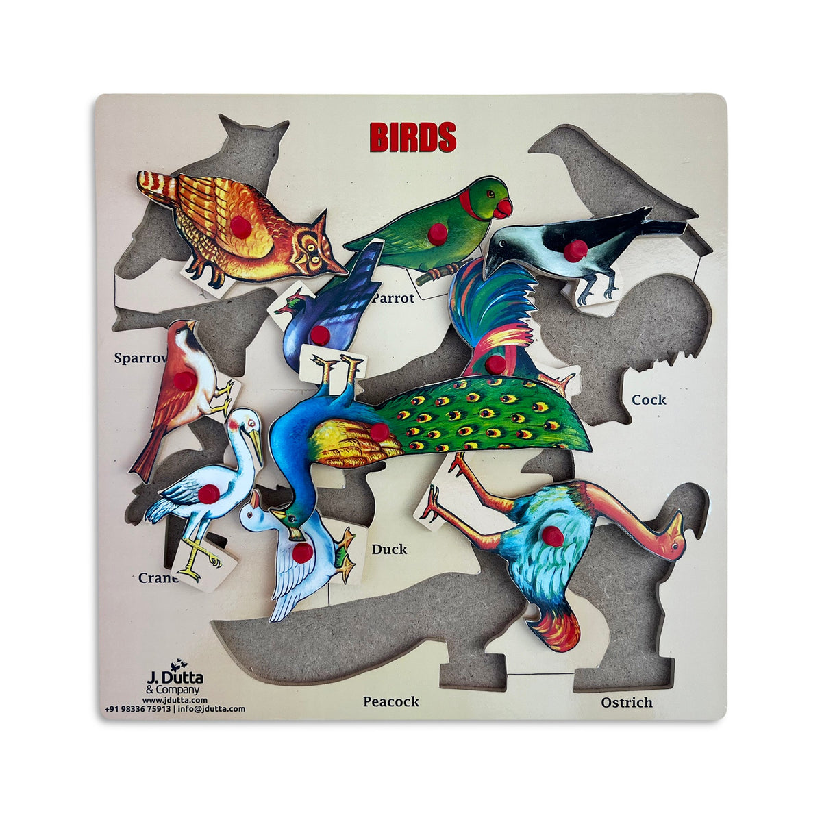 Birds knobbed puzzle with owl, parrot, crow, sparrow, crane, peacock, duck, ostrich and cock