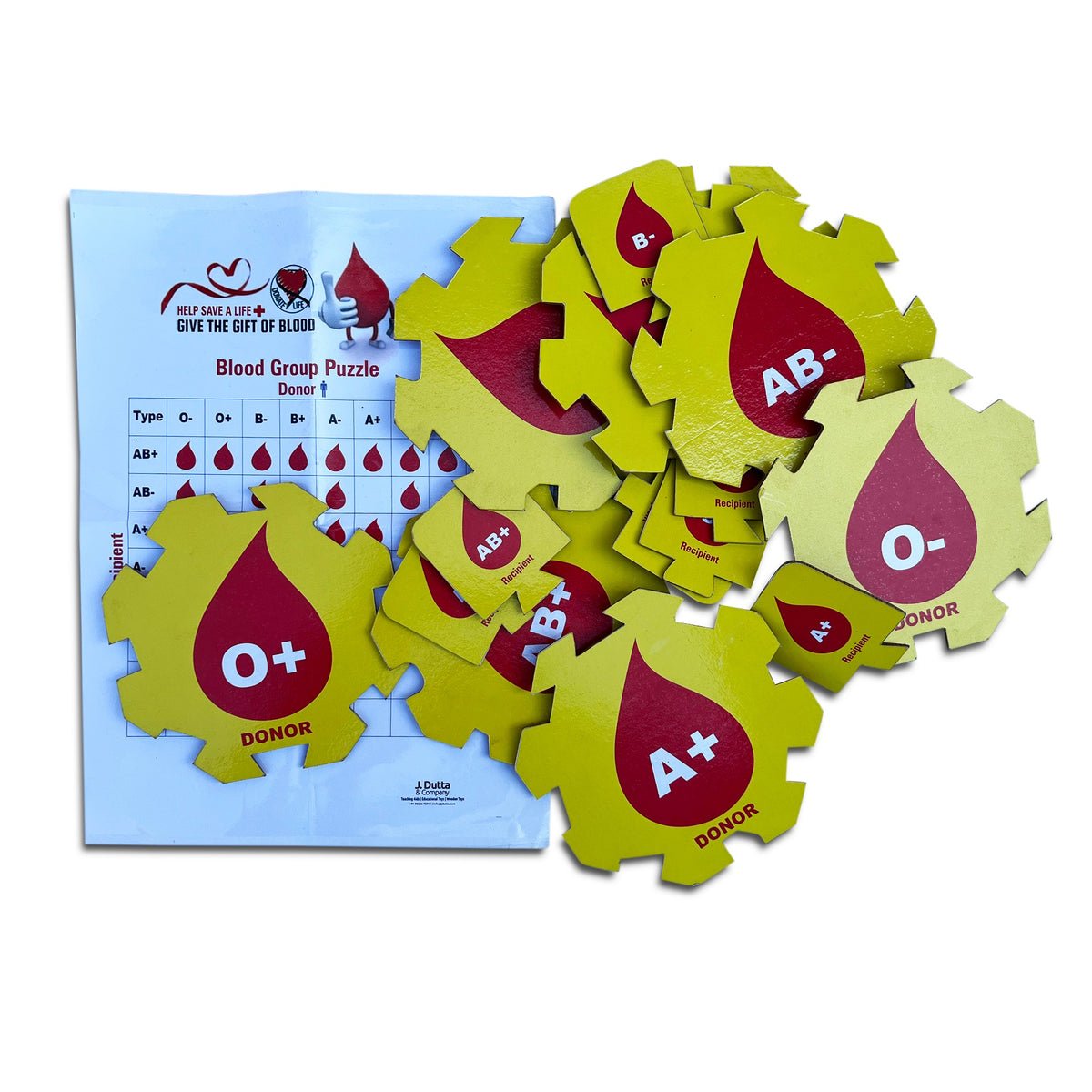 Blood group puzzle pieces O+, O−, A+, AB+ and AB− with the donor and receiver chart