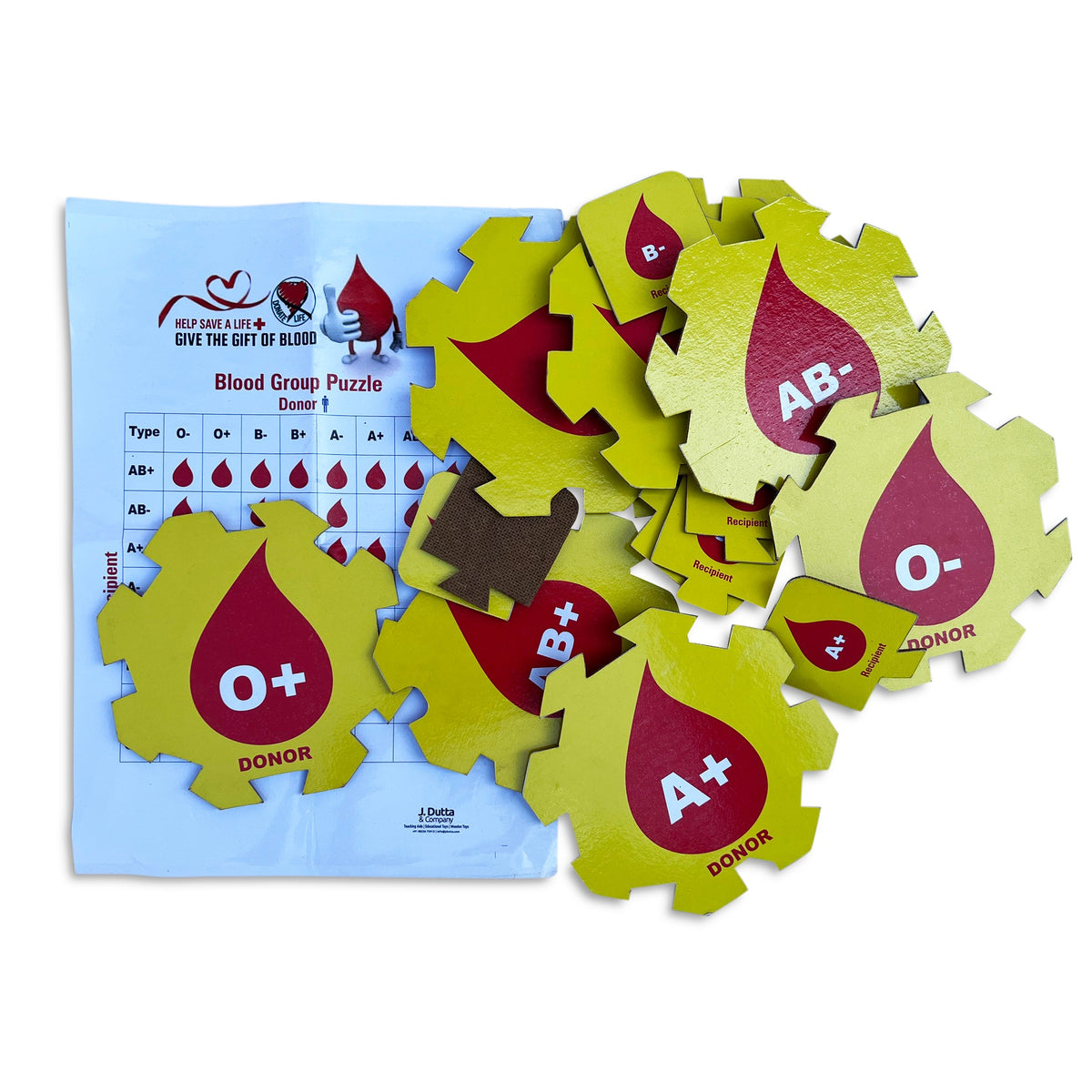 Blood group puzzle pieces fitted together beside the chart