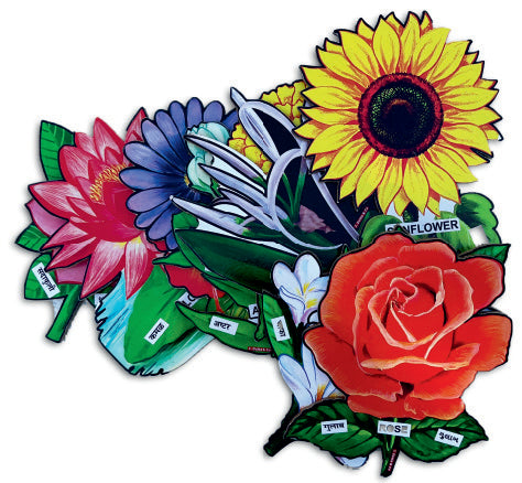 A set of 10 Flowers (Large size) - Flashcard Cut-outs