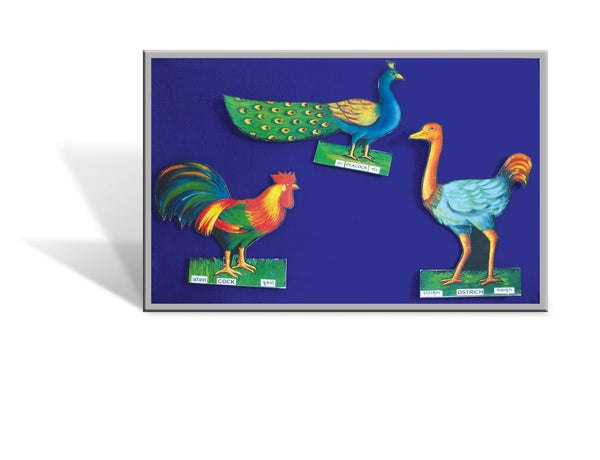 Cut-out of a peacock, cock and ostrich attached to a board