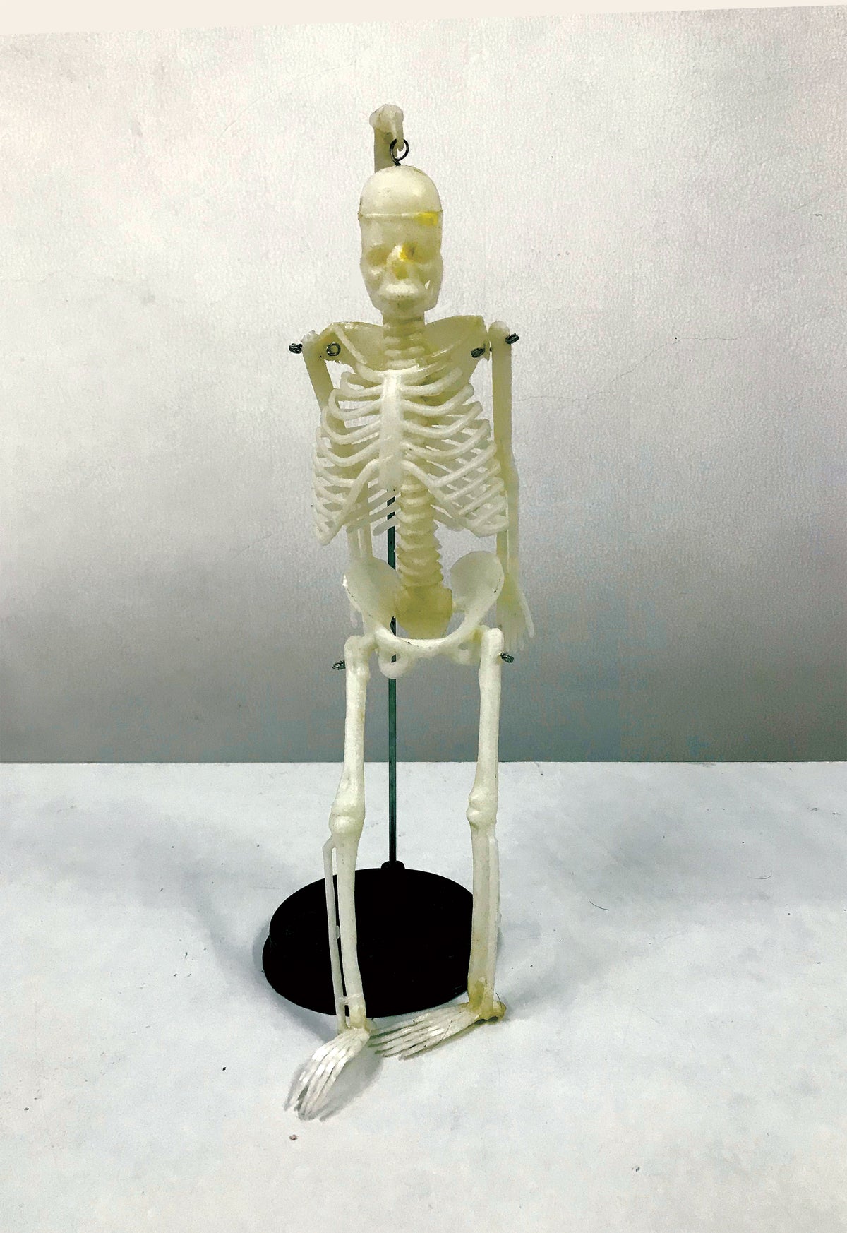 Skeleton Model