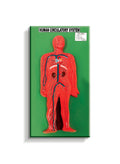 Human circulatory system model: red body figure with blood vessels on a green board
